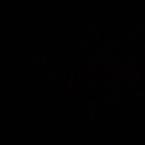 Meet your Posher, Cody